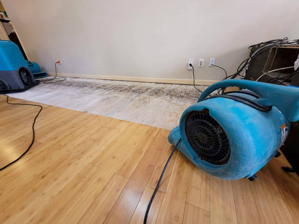 Professional Burst Pipe Water Damage technician working in Lakeside, AZ